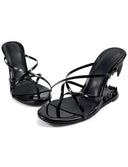 A pair of black patent leather strappy mule sandals with a low kitten heel, displayed on a clean white background with the brand name 'Dolly Bae' printed in a gothic font above them.